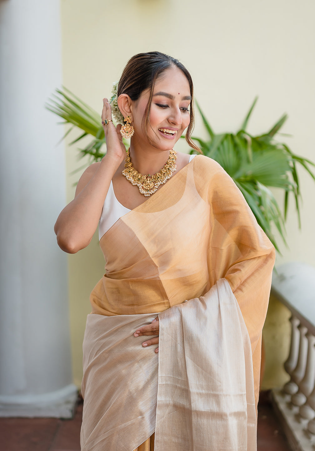 Silver Golden Tissue Saree