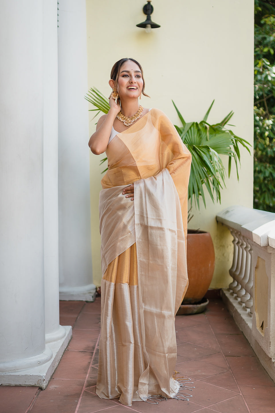 Silver Golden Tissue Saree