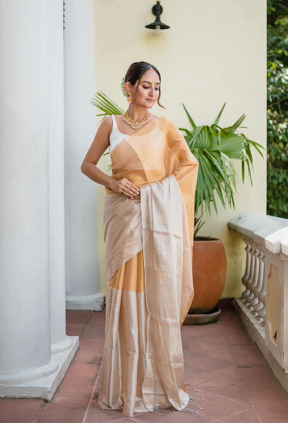 Silver Golden Tissue Saree