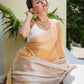 Silver Golden Tissue Saree